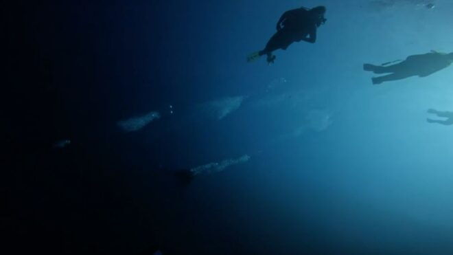 Scuba Diving - Dive for Certified Divers - The Sum Up