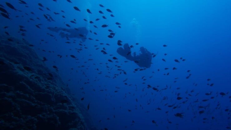 Scuba Diving Experience for Beginners In Greece - Booking Your Adventure