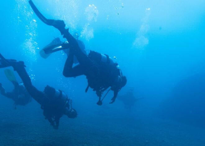 Scuba Diving Experience for Beginners In Greece - What to Expect