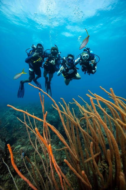 Scuba Diving Experience for Beginners In Greece - Frequently Asked Questions