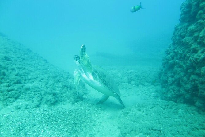 Scuba Diving Experience in Antalya - Pickup and Meeting Details