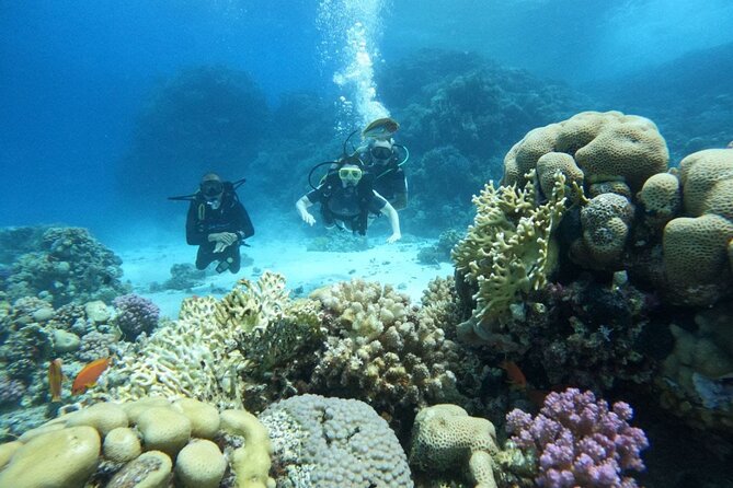 Scuba Diving Experience in Hurghada With Lunch - Booking Details
