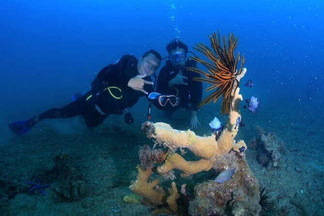 Scuba Diving Experience in Nha Trang Bay - Good To Know