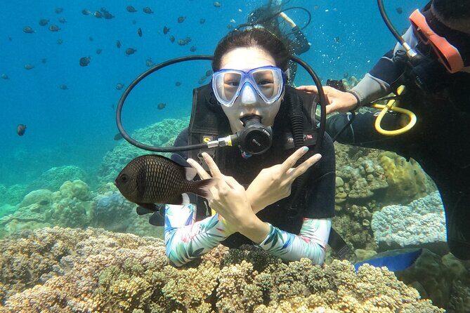 Scuba Diving Experience in Nha Trang Bay - An In-Depth Look at the Tour Experience