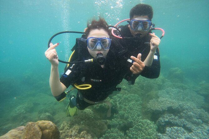Scuba Diving Experience in Nha Trang Bay - Who Will Love This Tour?