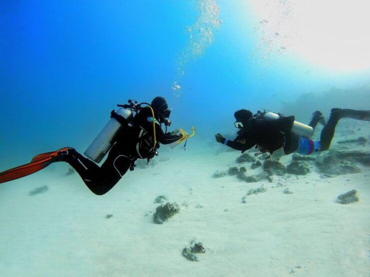 Scuba Diving Experience in Porto Cesareo - Experience Highlights