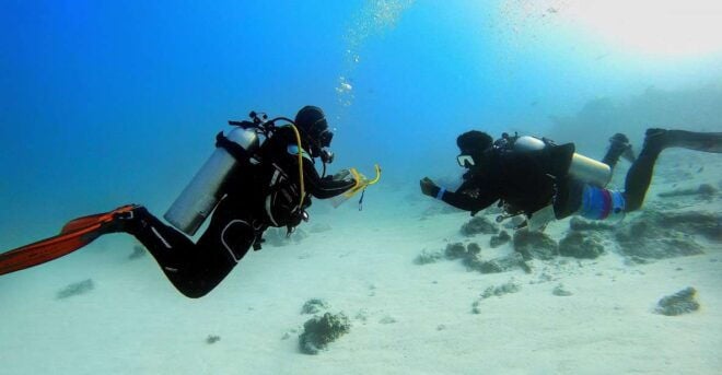 Scuba Diving Experience in Porto Cesareo - Experience Overview