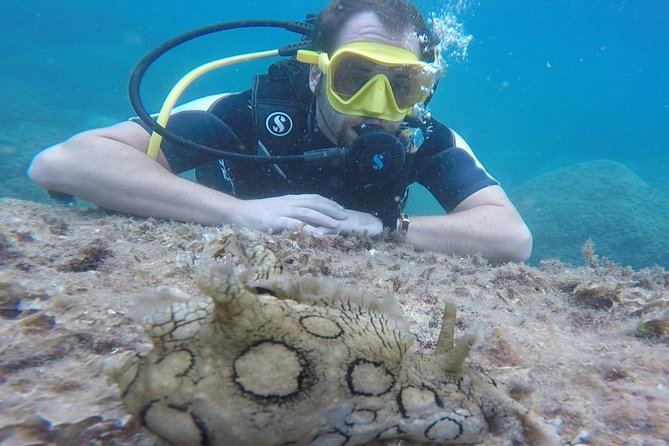 Scuba Diving Experience in Taormina - Common Questions