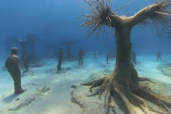 Scuba Diving Experience & MUSAN Dive + Free Edited Video 2xdives - Introduction