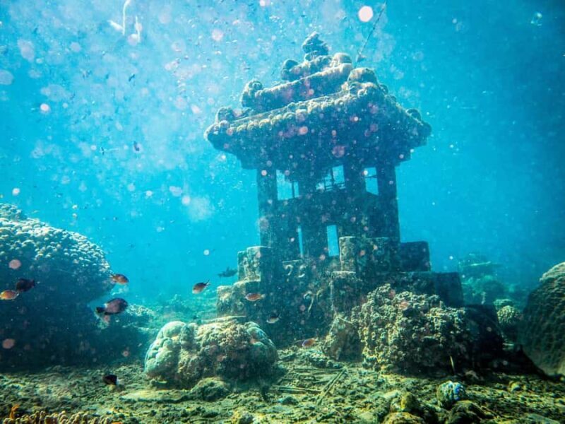 Scuba Diving experiences - A Closer Look at the Bali Scuba Experience