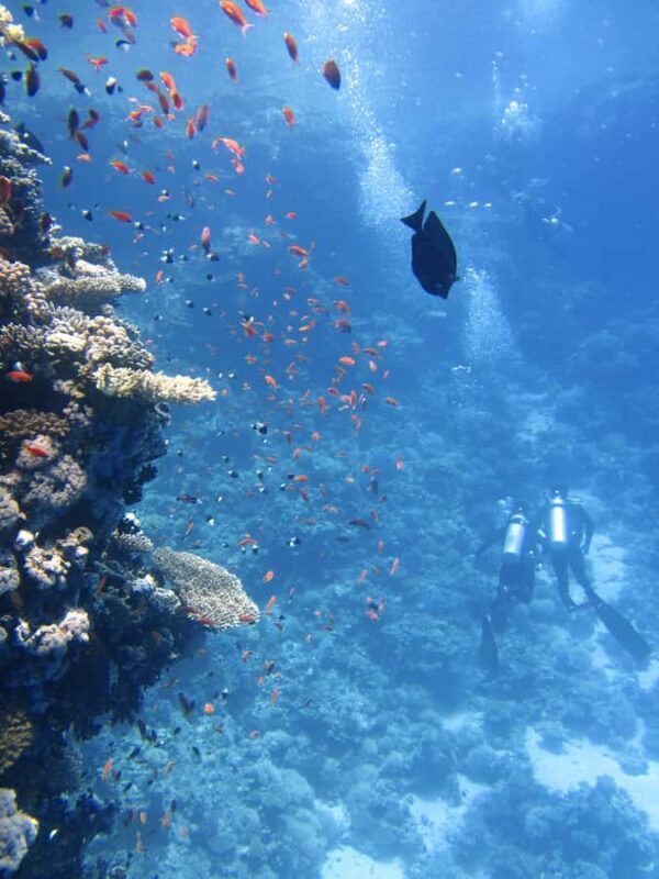 Scuba Diving experiences - FAQ