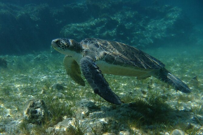 SCUBA DIVING First Time Experience - Directions
