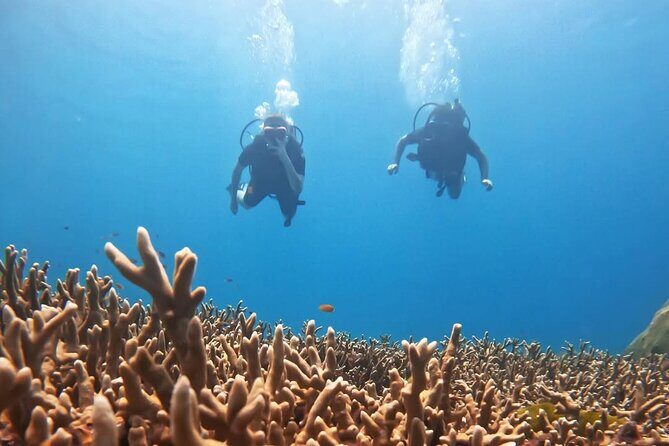 Scuba Diving for Beginners from Phuket Racha Yai with Snorkeling - What to Expect from the Tour