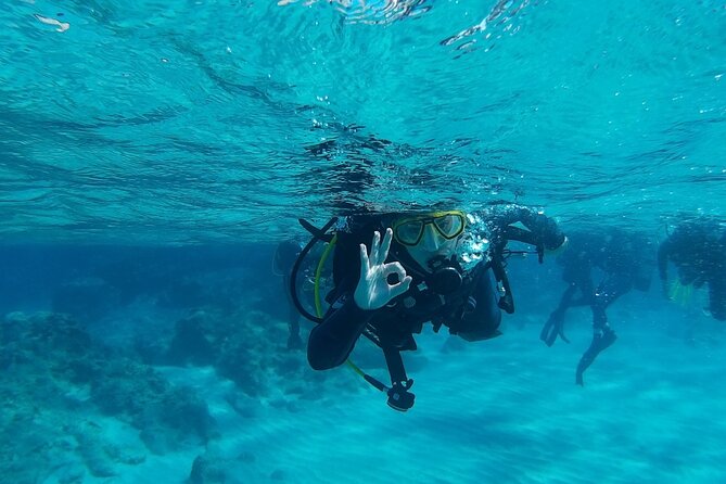 Scuba Diving for Beginners in Chania - Safety Precautions and Guidelines