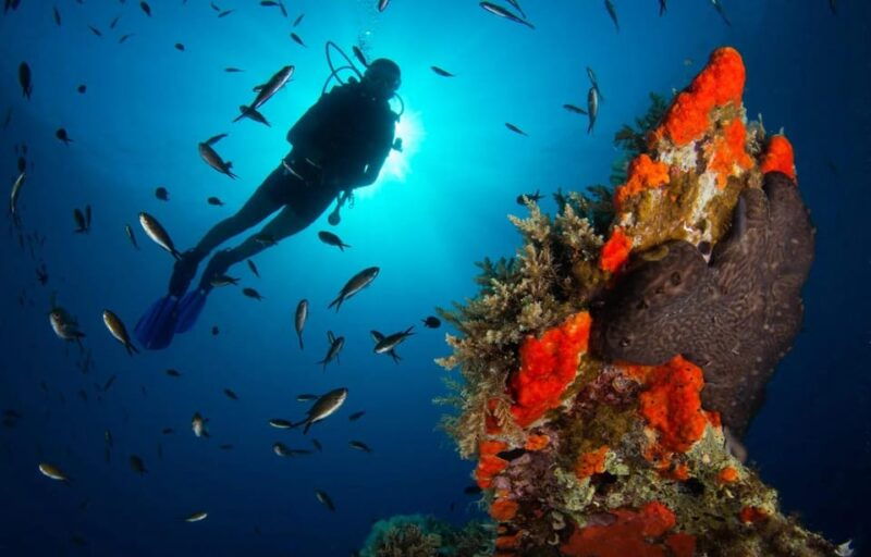 Scuba diving for beginners in crystal clear sea of Halkidiki - Whats Included and Whats Not