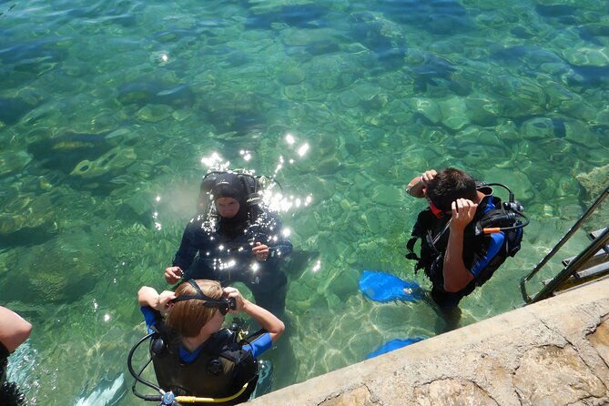 Scuba Diving for Beginners in Pula - Activity Overview