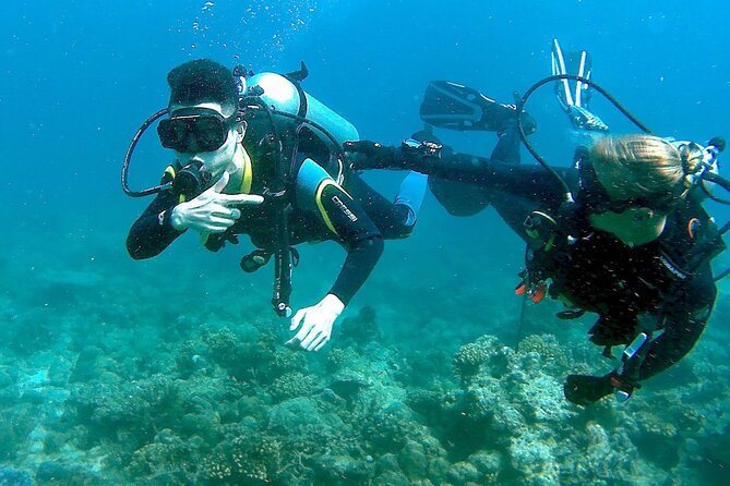Scuba Diving for Beginners in Pula - Customer Reviews