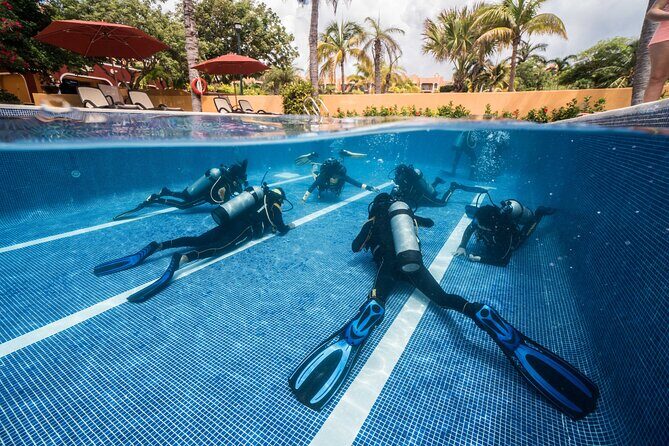 Scuba Diving for Beginners  Playa del Carmen or Tulum - Why This Tour Offers Great Value