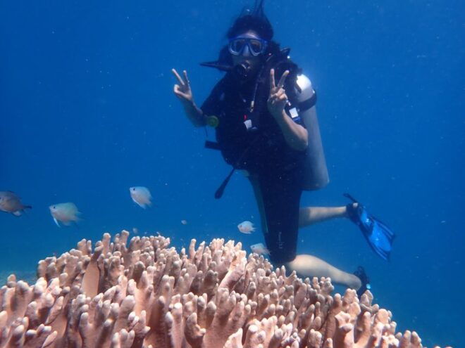 Scuba Diving for Beginners With Certified Diving Centre - Itinerary