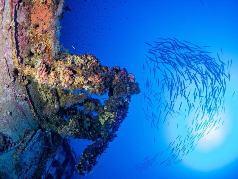 Scuba diving for certified divers, 2 Dives - FAQ
