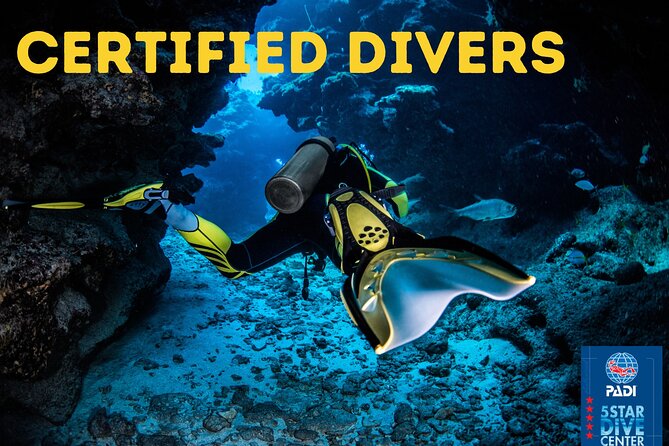 Scuba Diving for Certified Divers in Costa Adeje - Requirements and Expectations
