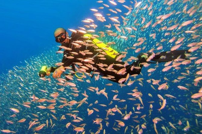 Scuba Diving From Aqaba City Or Talabay ( Beach ) - Included Services and Amenities