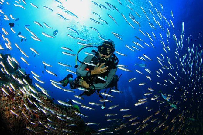 Scuba Diving From Hurghada - Restrictions