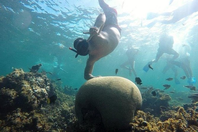 Scuba Diving Full Day At Catalina Island - Reviews and Ratings Overview