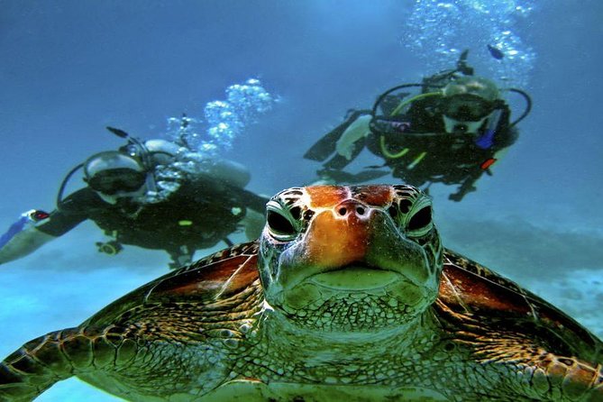 Scuba Diving Full Day Boat Trip for Beginners With Lunch & Transfer – Hurghada - Traveler Reviews