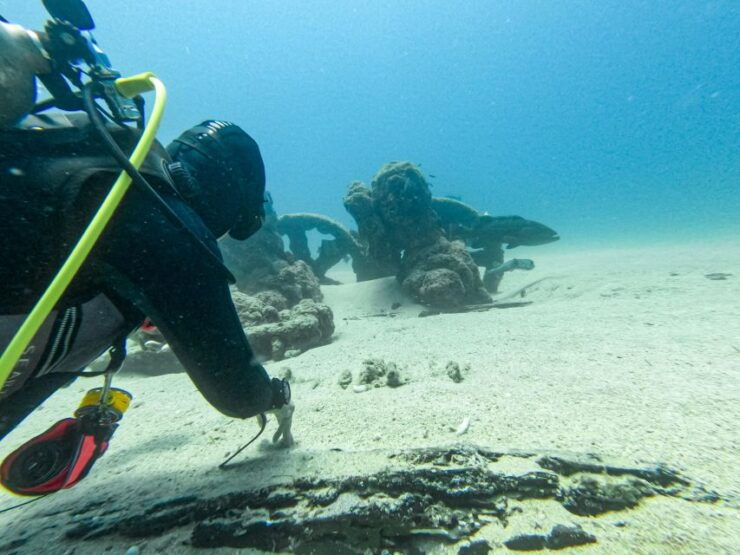 Scuba Diving in a National Marine Park of Cabo Pulmo - Experience