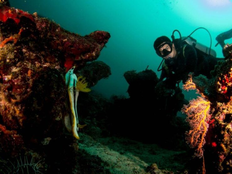 Scuba Diving in Boracay: SSI Advanced OW Certification - Activity Details