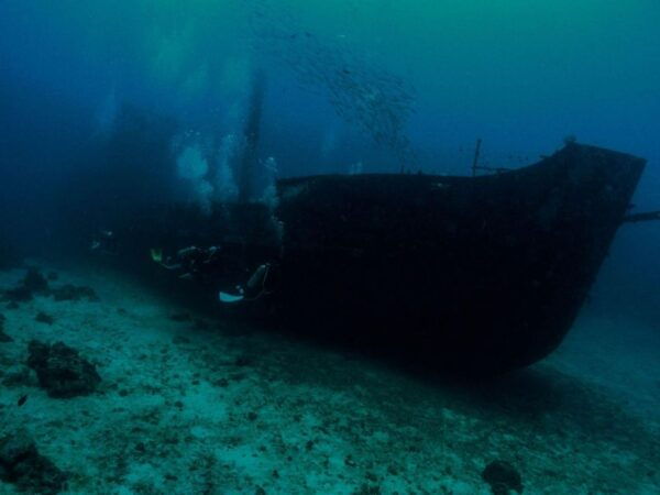 Scuba Diving in Boracay: SSI Advanced OW Certification - Certification Benefits