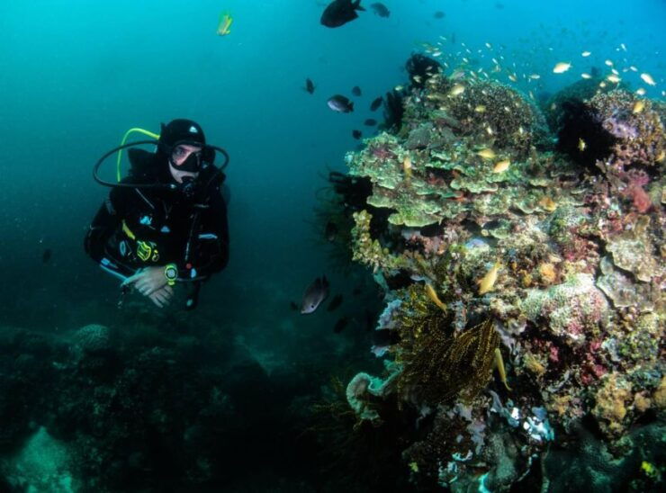 Scuba Diving in Boracay: SSI Open Water Certification - Overview of the SSI Open Water Certification Course