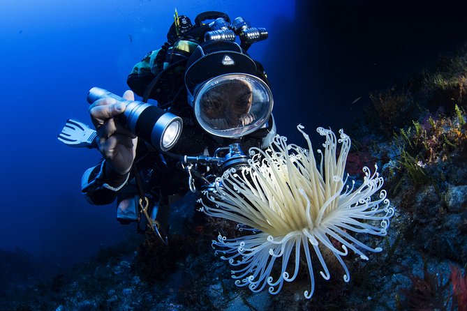 Scuba Diving in Calabria, Italy - Additional Services Available