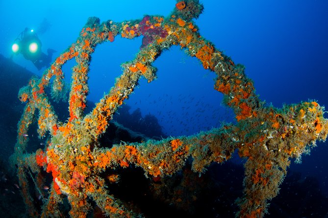 Scuba Diving in Calabria, Italy - Common Questions