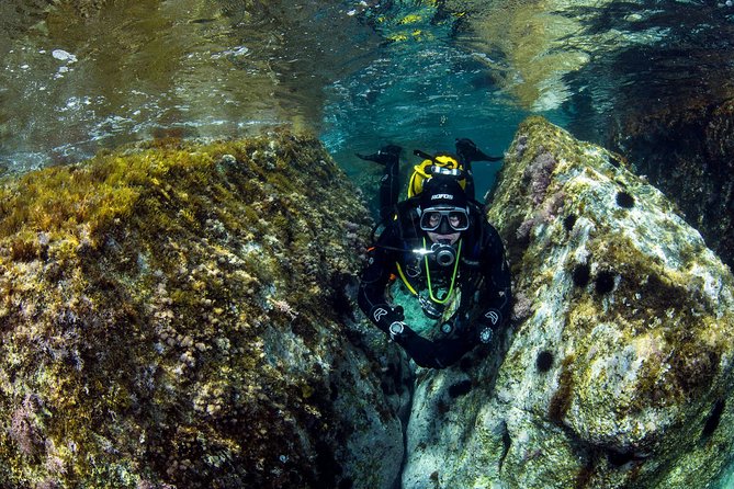 Scuba Diving in Calabria, Italy - The Sum Up