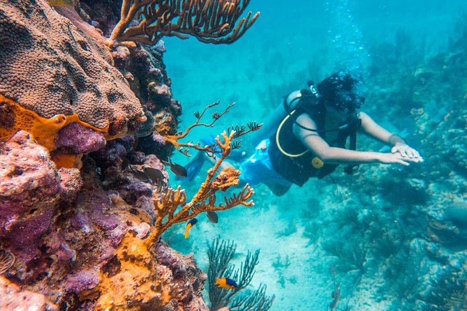Scuba Diving in Cozumel Island - Cancellation Policy