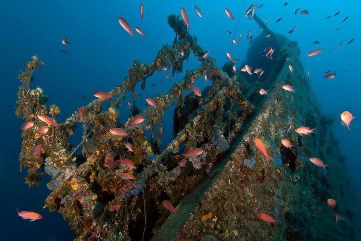 Scuba Diving in Dubrovnik: 1 Dive for Certified Divers - Tailored Dive Session Details