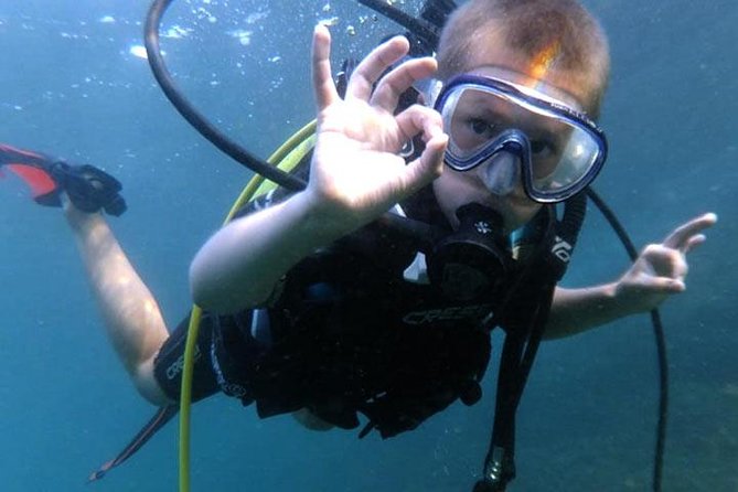 Scuba Diving in Fujairah - Pricing and Booking Options