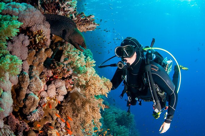 Scuba Diving in Fujairah With Private Transfers - Dive Sites in Fujairah