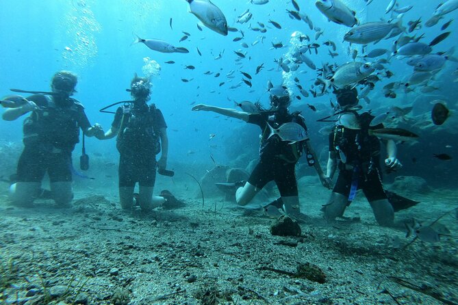Scuba Diving in Fujairah With Private Transfers - Safety Measures and Equipment