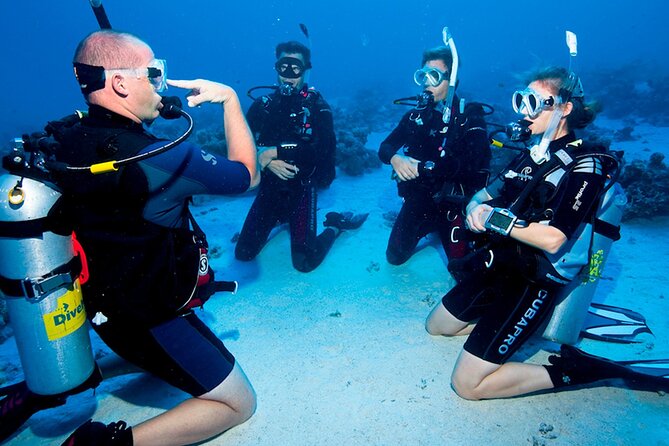 Scuba Diving in Fujairah With Private Transfers - Expert Guides and Training