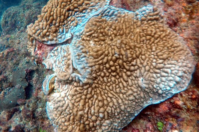 Scuba Diving in Kalpitiya - Location Details
