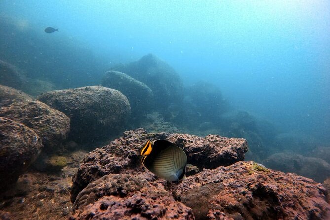 Scuba Diving in Kalpitiya - Scuba Equipment and Lunch