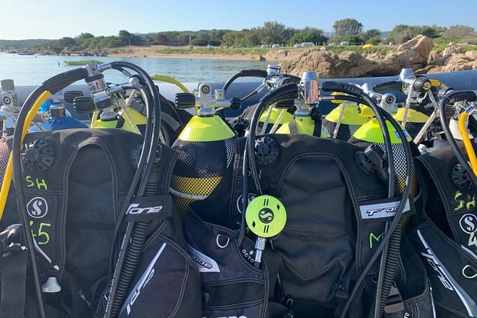 Scuba Diving in La Maddalena and Lavezzi Marine Protected Areas. - Common Questions