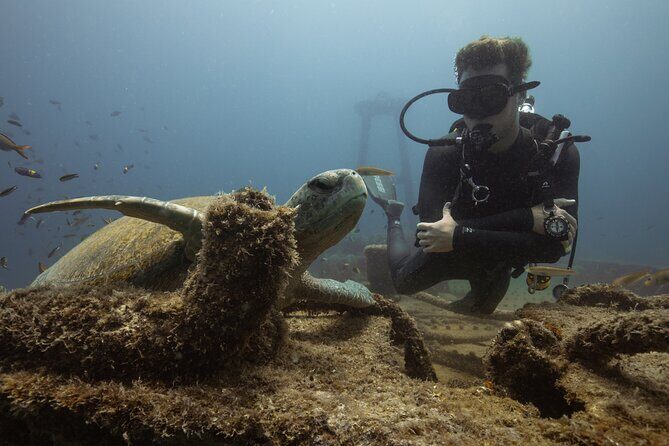 Scuba Diving in La Paz Private Tour - Additional Info
