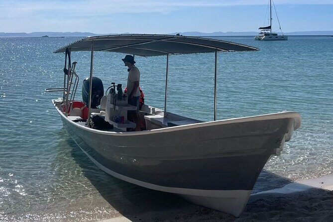 Scuba Diving in La Paz Private Tour - What the Reviews Say