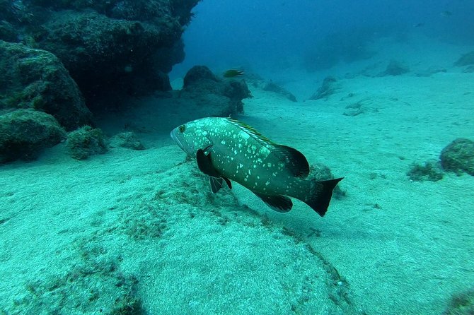 Scuba Diving in Lanzarote (For Certified Divers Only) - Start Time and Punctuality