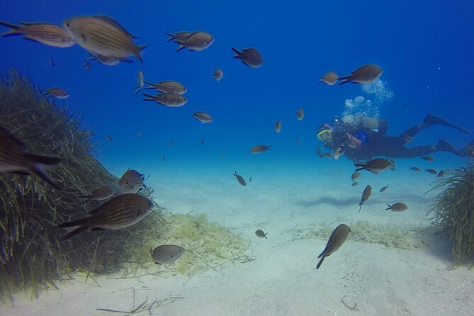 Scuba Diving in MIG-21 Wreck - Destination: Tirana, Albania