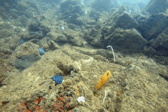 Scuba Diving in Mirissa - Additional Info